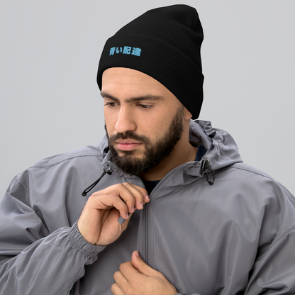 P6STYS MOTTO BEANIE
