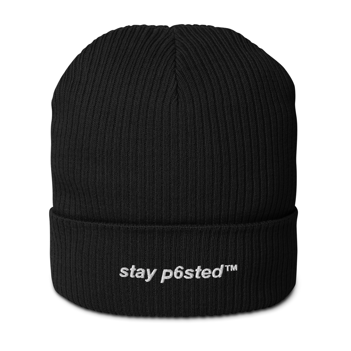 STAY P6STED // BEANIE