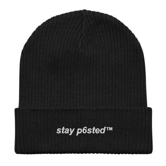 STAY P6STED // BEANIE