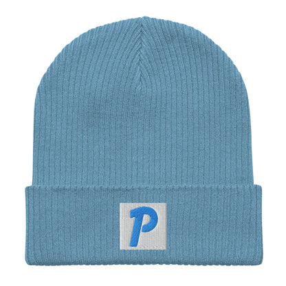 P6STYS BADGE BEANIE