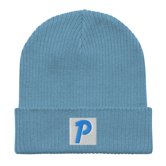 P6STYS BADGE BEANIE